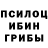 Галлюциногенные грибы Psilocybe Nata Bakradze