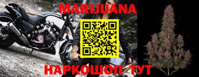 apvp Нягань