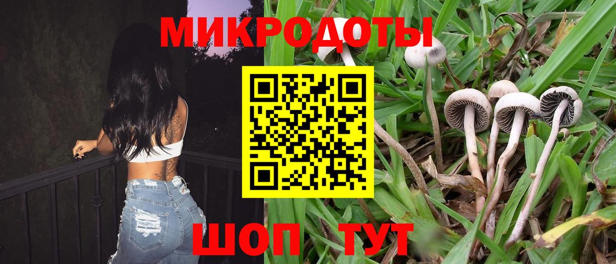 Псилоцибиновые грибы ЛСД Сызрань