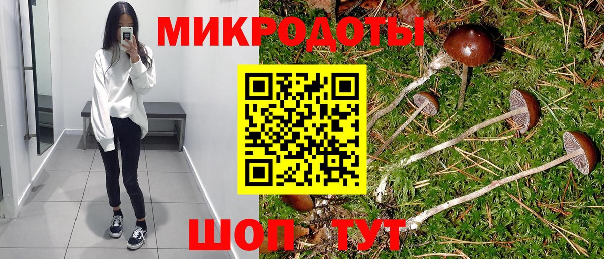 купить  цена  Вход с VPN  Сызрань  Псилоцибиновые грибы MAGIC MUSHROOMS 