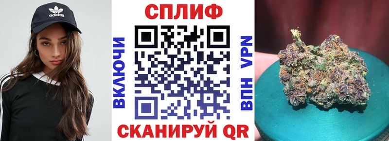 купить  сайты  Сызрань  Конопля сатива 